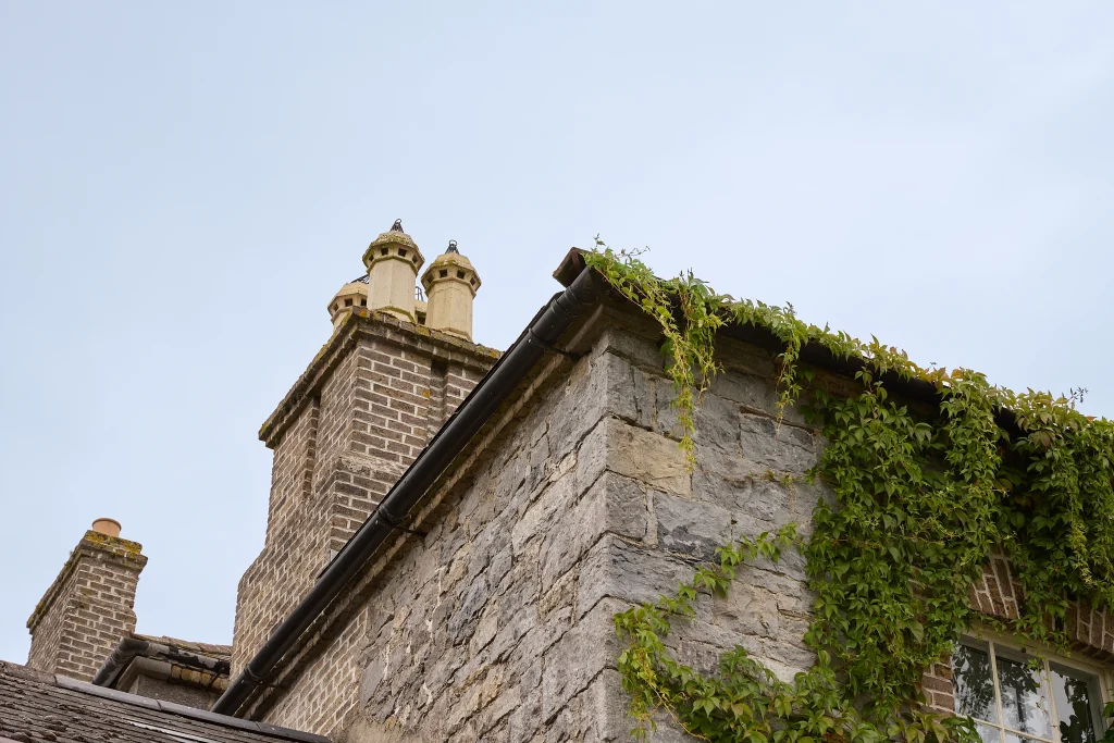 The photo shows the upper corner of Preston House, a stone home with two prominent brick chimneys and a roof partially covered in green vines, set against a clear, pale sky.