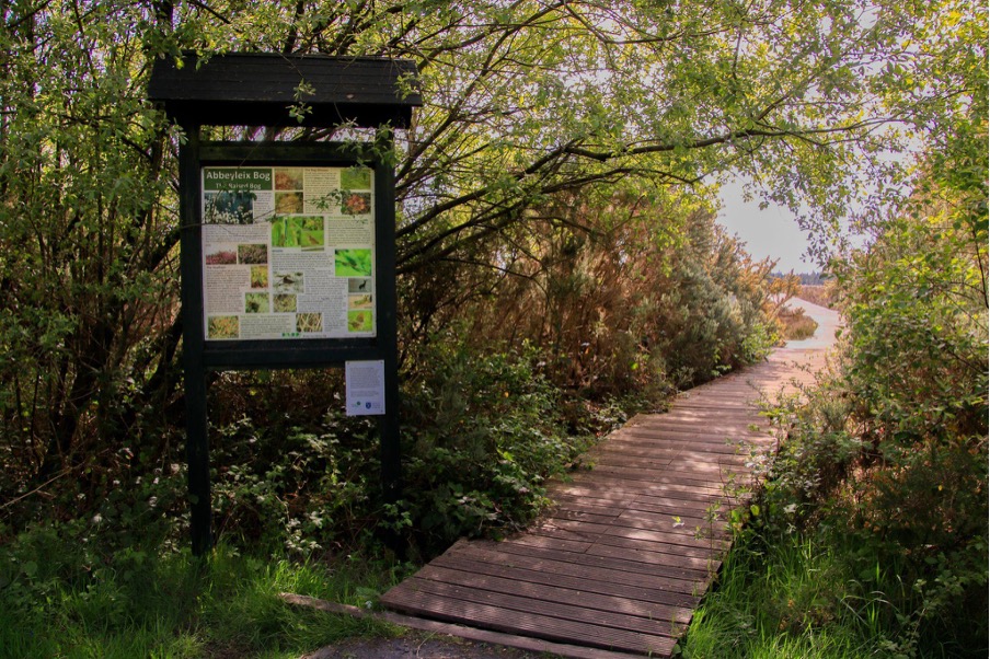 A wooden walkway winds through lush greenery beneath trees near Preston House. To the left, an information sign titled “Abbeystead Bog” displays text and images about local plants and wildlife. Sunlight filters through the leaves.