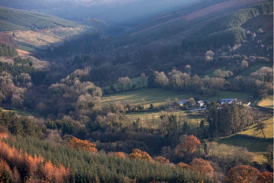 A scenic view of a rural valley with scattered farmhouses like Preston House, dense forests, and fields illuminated by soft sunlight. Trees in autumn colours mix with evergreens, and hills rise in the background under a hazy sky.