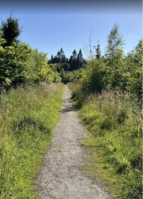 A dirt path runs through tall green grass and dense trees under a clear blue sky, leading towards the distant Preston House. Sunlight brightens the scene, creating a peaceful, natural atmosphere.